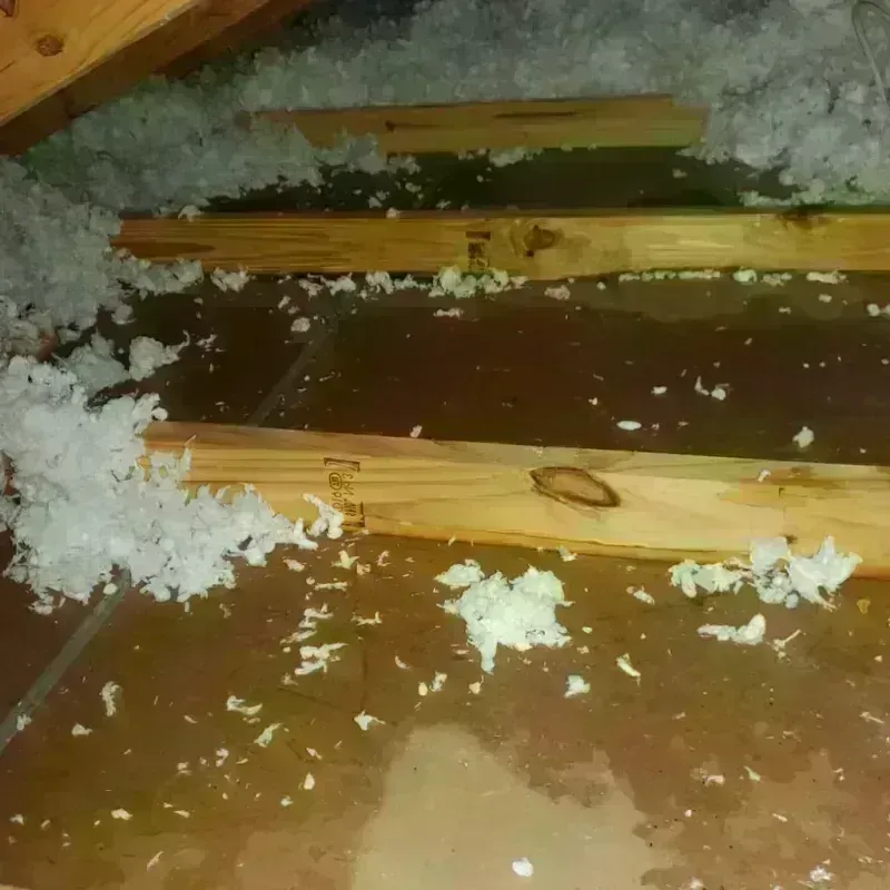 Attic Water Damage in Wyandotte County, KS