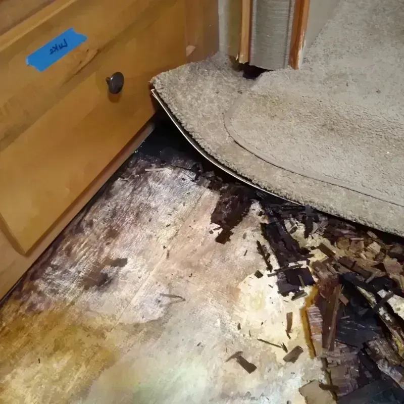 Wood Floor Water Damage in Wyandotte County, KS